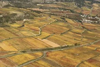 La côte avec son manteau doré