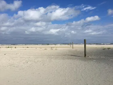 Tagesausflug nach Juist mit Blick auf Meyer Werft