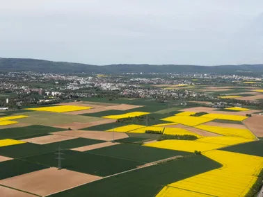 Rundflug über die Rheinebene