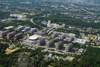 Best of Ruhrgebiet - Rundflug über das Herz der Region