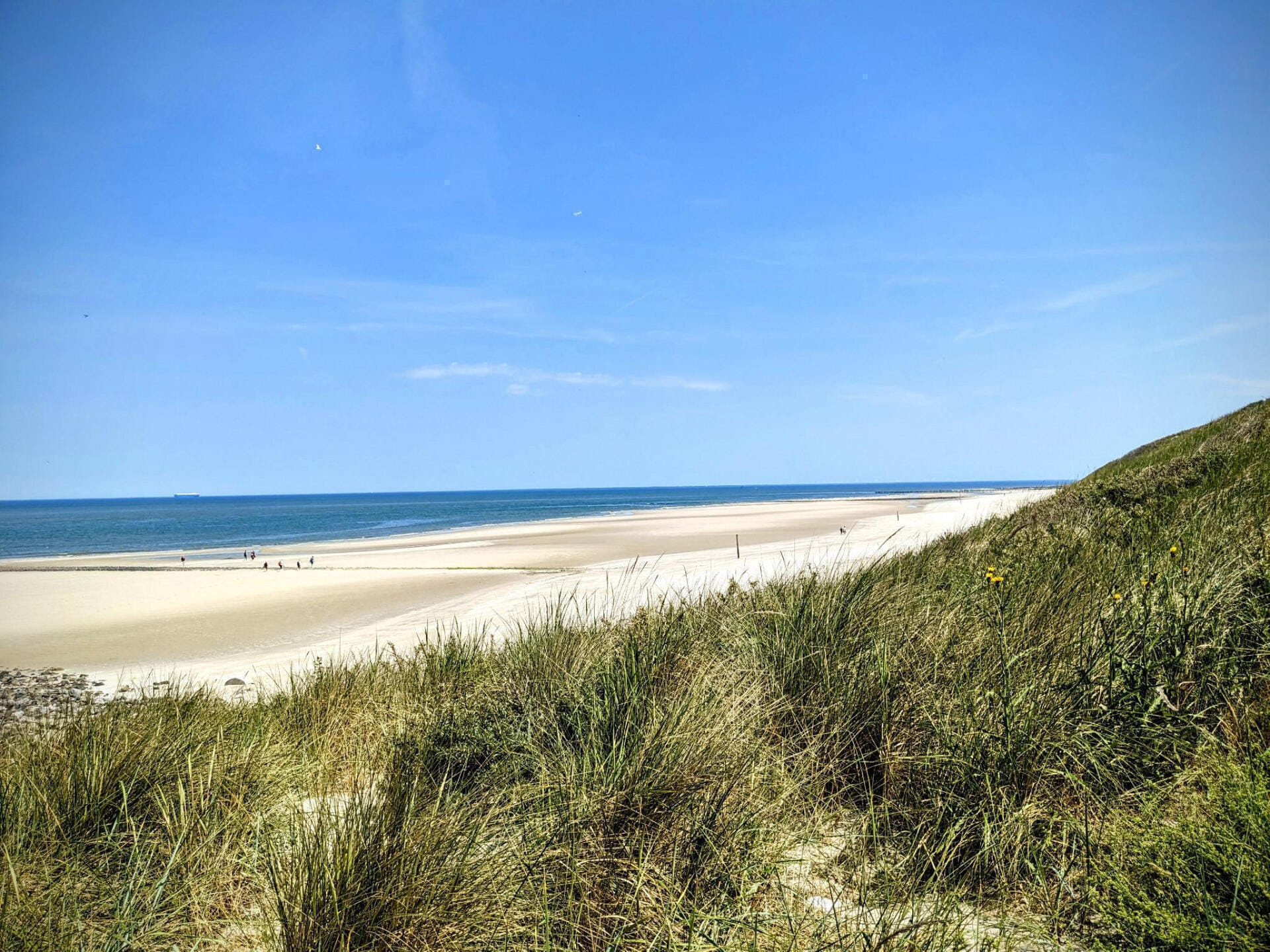 Rundflug über die ostfriesischen Inseln