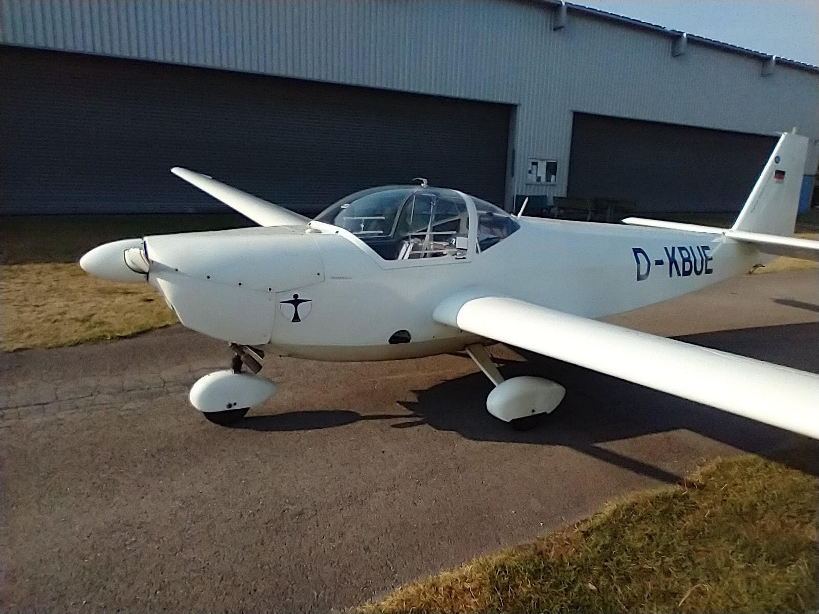 Scheibe Falke von der Seite