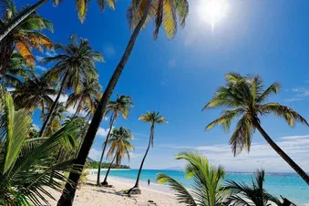 Une journée à Marie Galante.