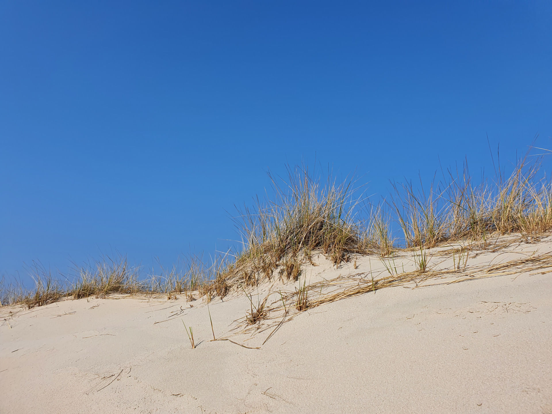 Tagesausflug nach Norderney