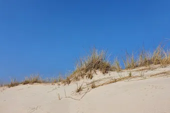 Tagesausflug nach Norderney