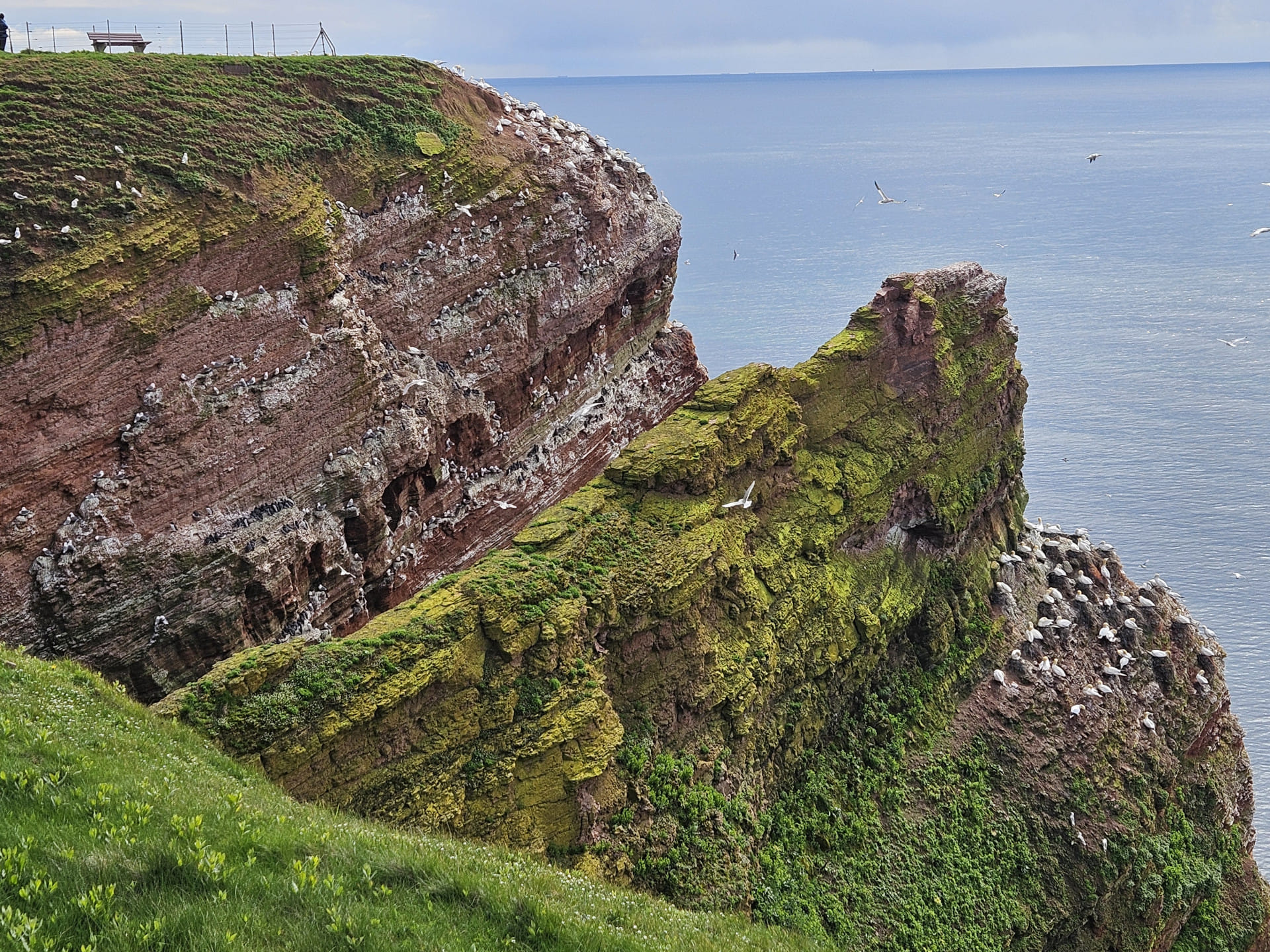 Helgoland, Deutschlands einzige Hochseeinsel an einem Tag