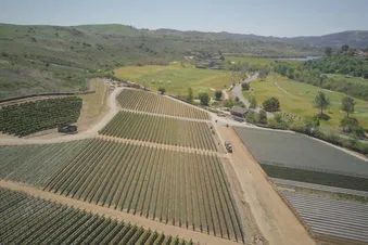 Les vignobles Champenois en hélicoptère | 20 min