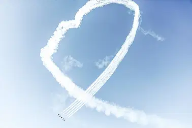 Flug Wingly Connect