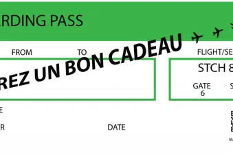 Vol personnalisé - Offrez une vue unique du ciel ! ✈️