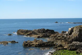 Excursion aérienne d'une journée sur l'île d'Yeu