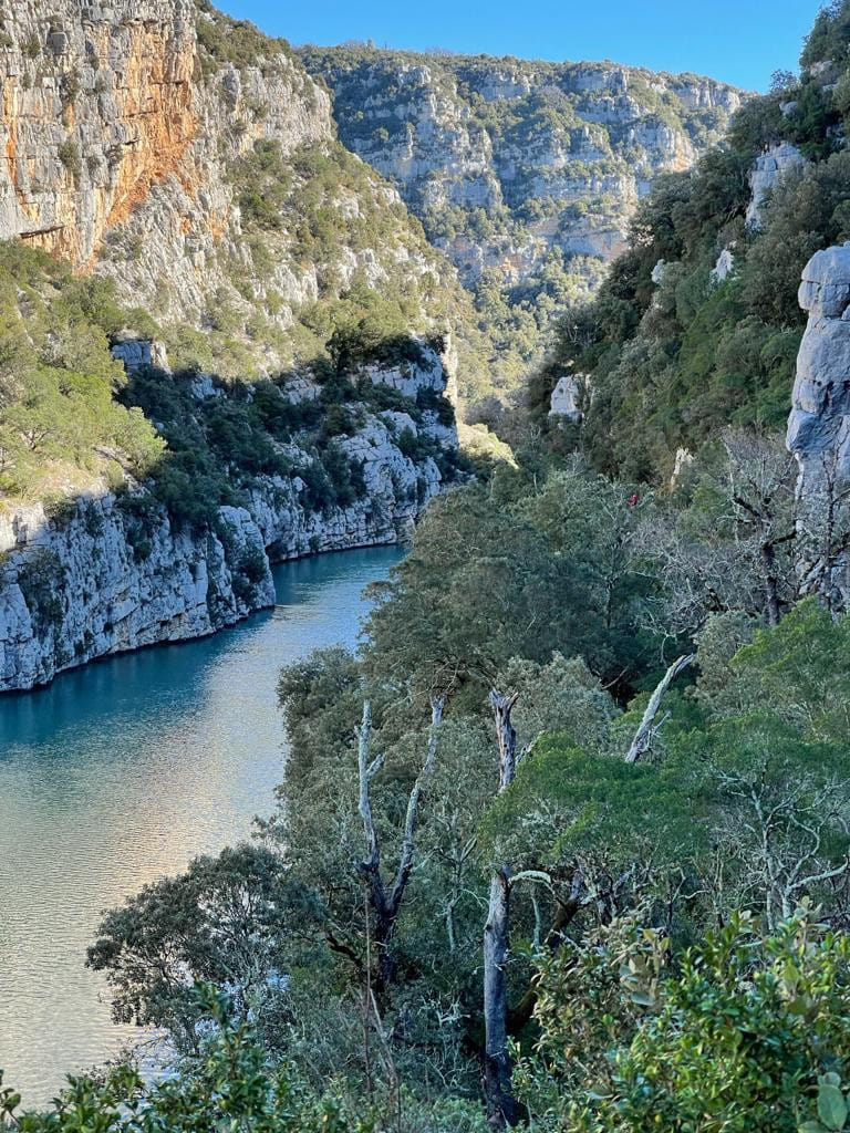 Gorges du Verdon🌞⭐ Lac de Sainte-Croix Valensole
