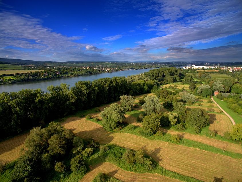 ★ „Rhein/Main von oben“ ab Egelsbach