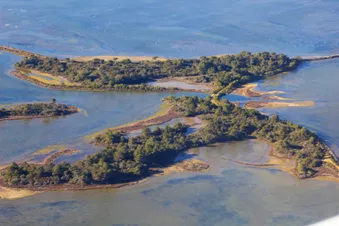 La Camargue à l'état sauvage