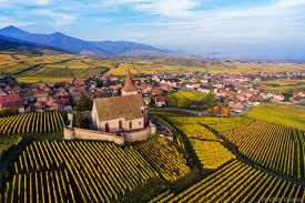 Découverte de Colmar : châteaux, vignes, winstubs - St-Cyr