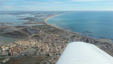 La Camargue à l'état sauvage