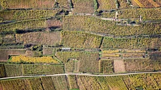 Balade aérienne en Alsace - Châteaux & vignoble (DR400)