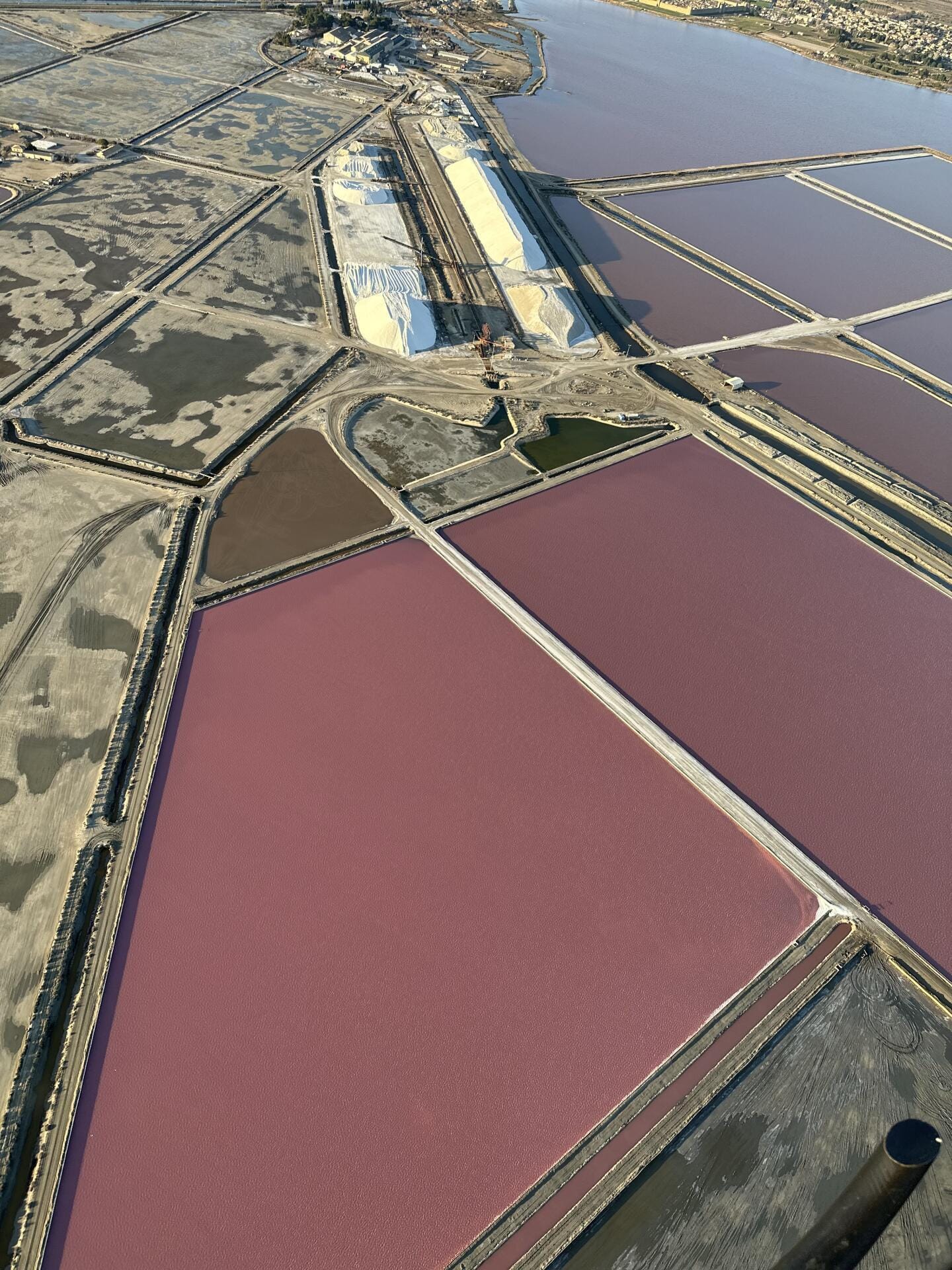 Promenade aérienne en Camargue
