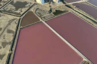 Promenade aérienne en Camargue