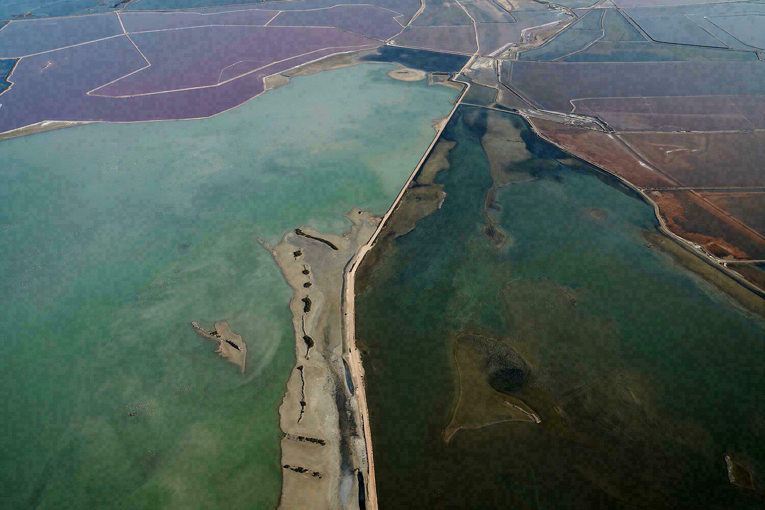 Camargue : La vie en Rose