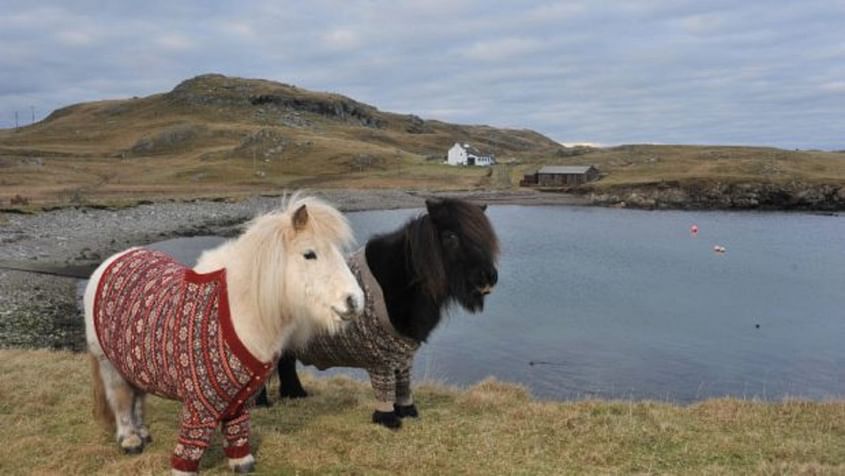 Weekend trip to the Shetland Islands