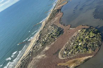 Promenade aérienne en Camargue