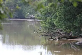 Scenic helicopter flight to Isle of Wight