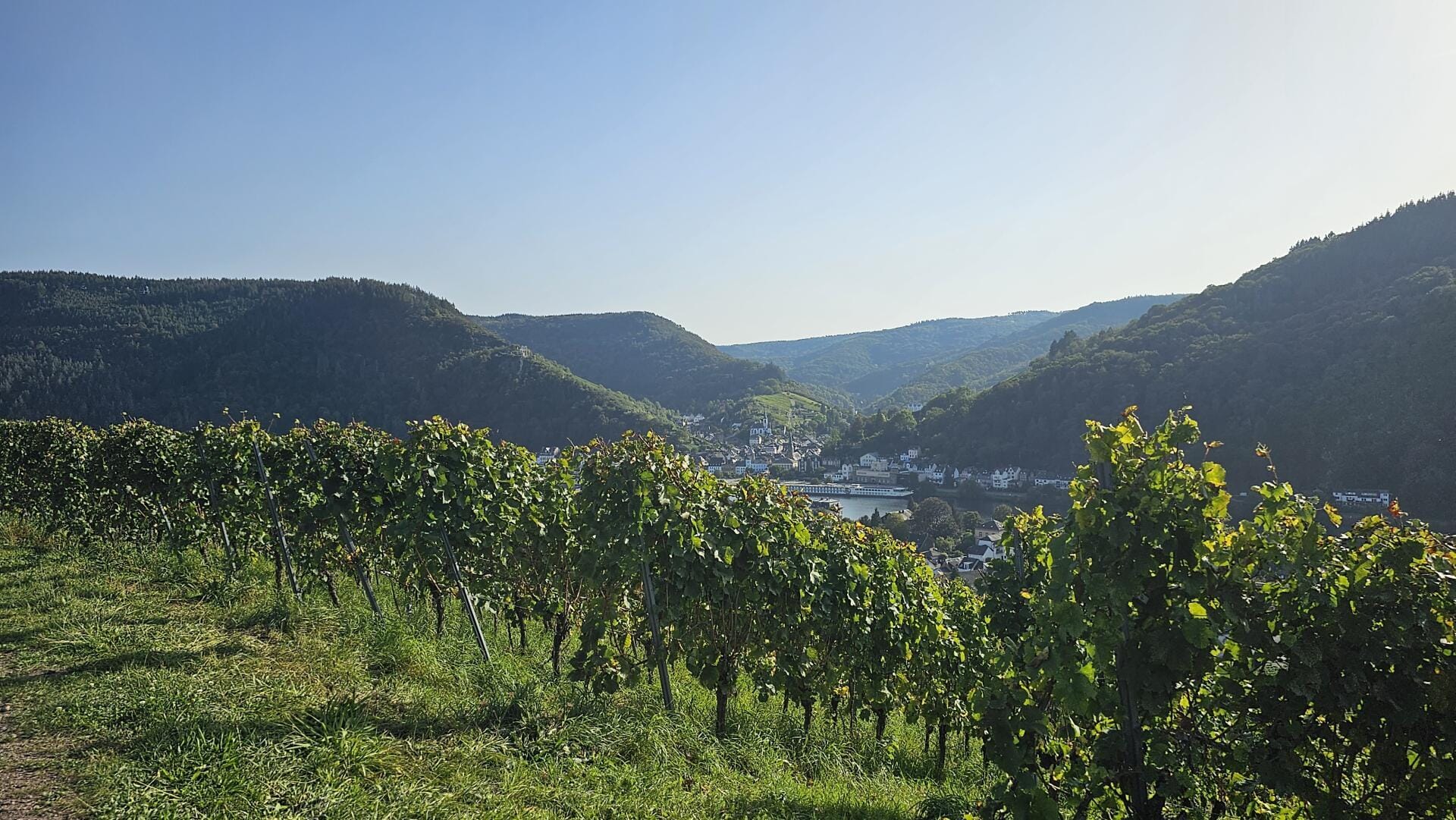 Vineyards start from the airfield all the way down
