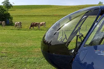 Zum fliegenden Bauern Wildberg bei Lindau