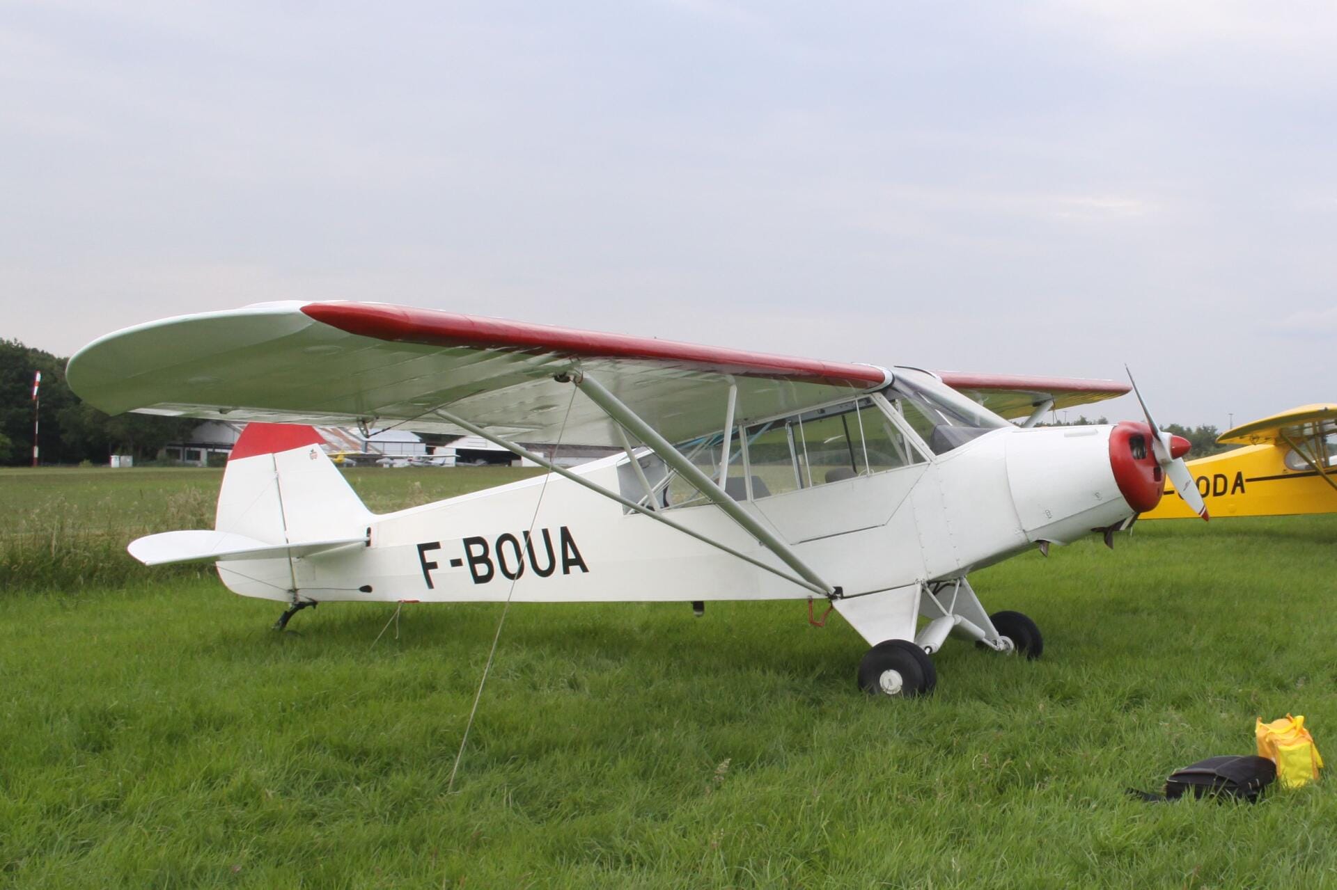 Piper PA19
