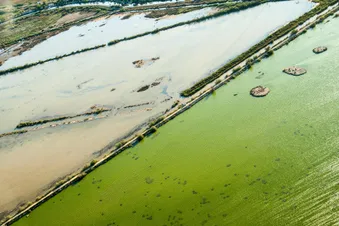 Vol Hélico - La Grande Motte, Palavas et Sète par la côte