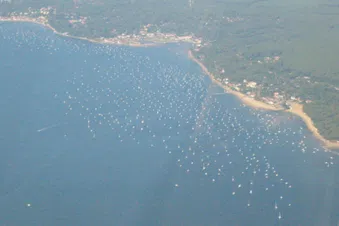 Balade aérienne : Bassin d'Arcachon (2 ou 3 passagers)
