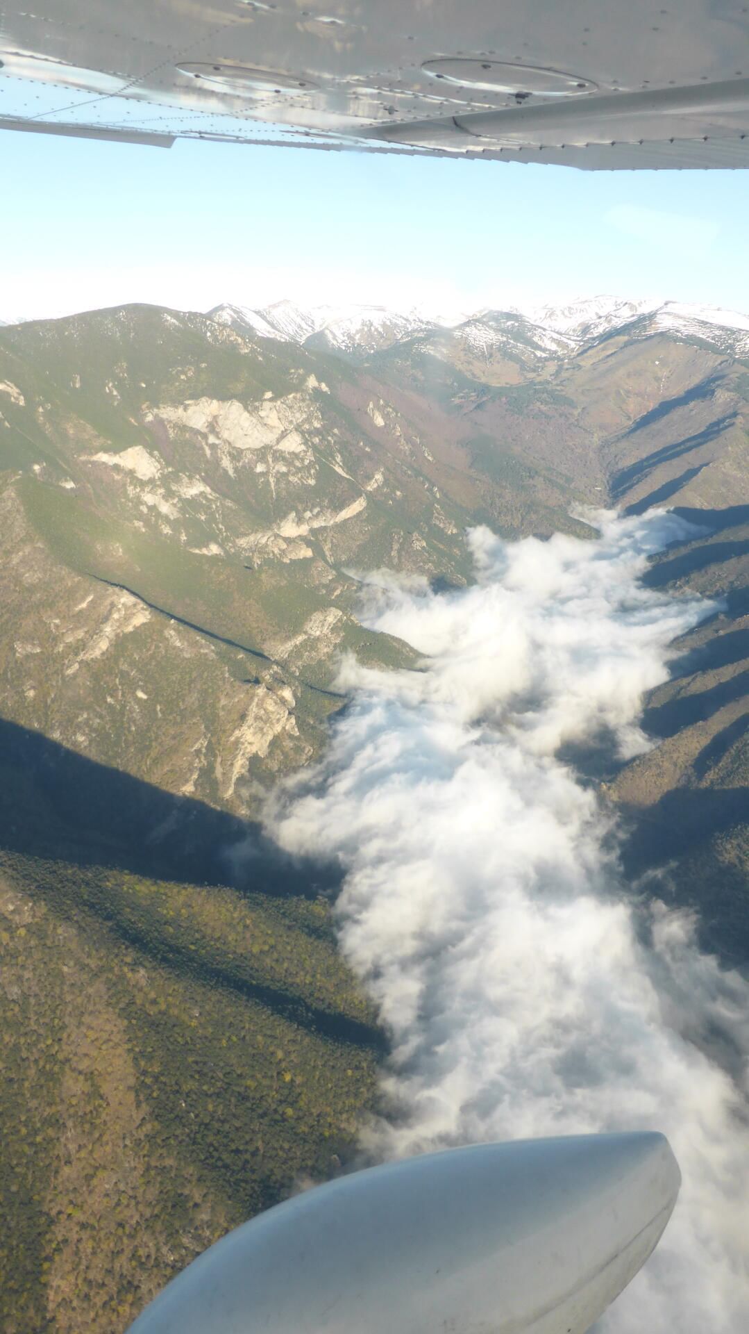 Vallée au pied du Canigou