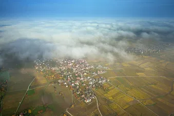 Strasbourg & plaine d'Alsace par la route des vins
