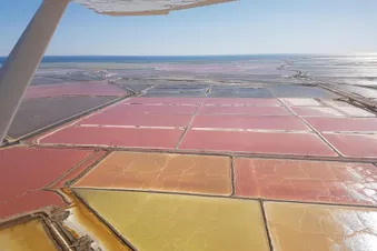 Marais salants de Camargue