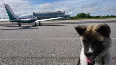 Flight to the scilley isles