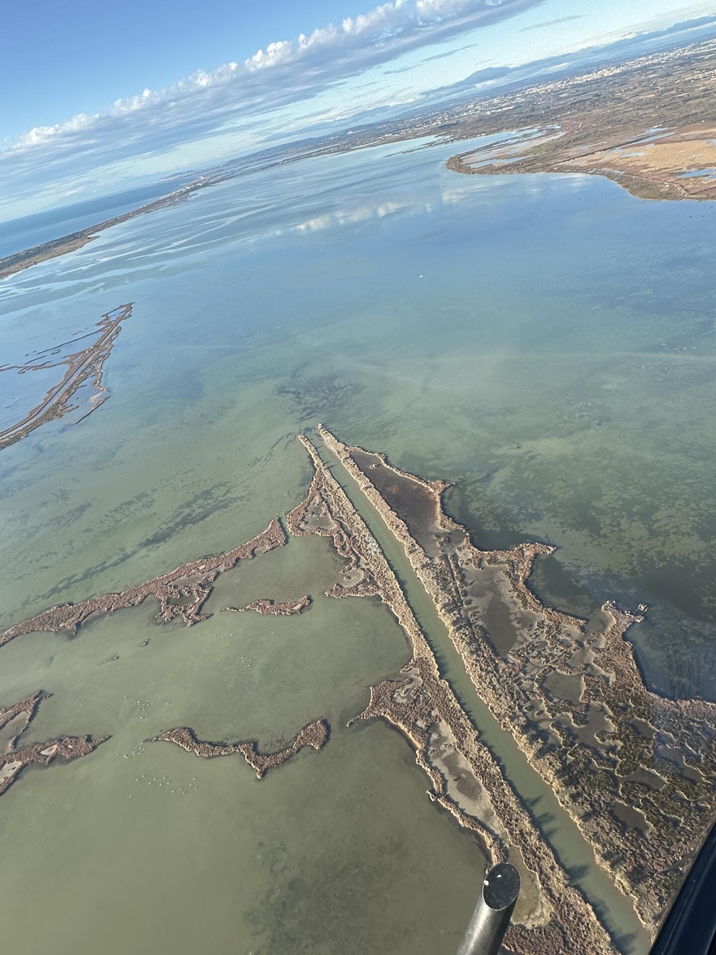 Promenade aérienne en Camargue