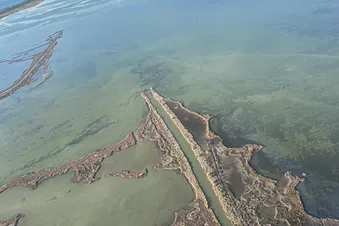 Promenade aérienne en Camargue
