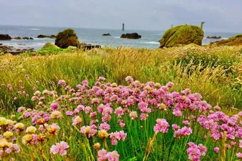 Vol Brest → Ouessant - 16h30