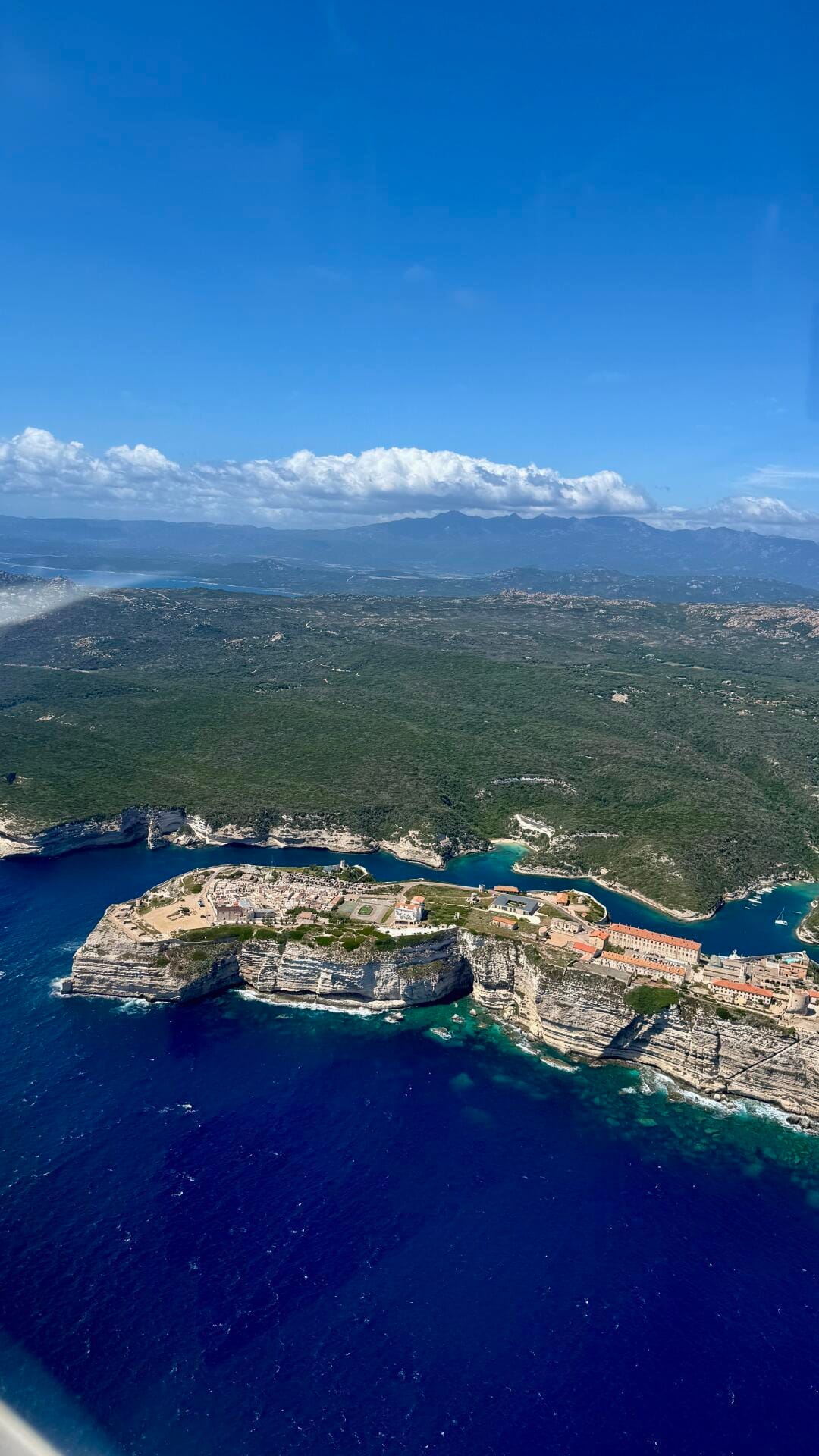 Bonifacio