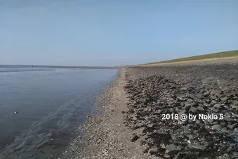 Tagesausflug nach Wangerooge, Relaxen auf der Insel