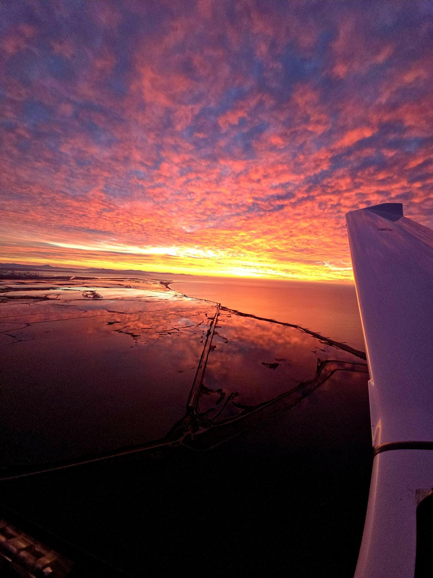 À l'Aube du Soleil : Vols Magiques en Camargue et sur la Mer