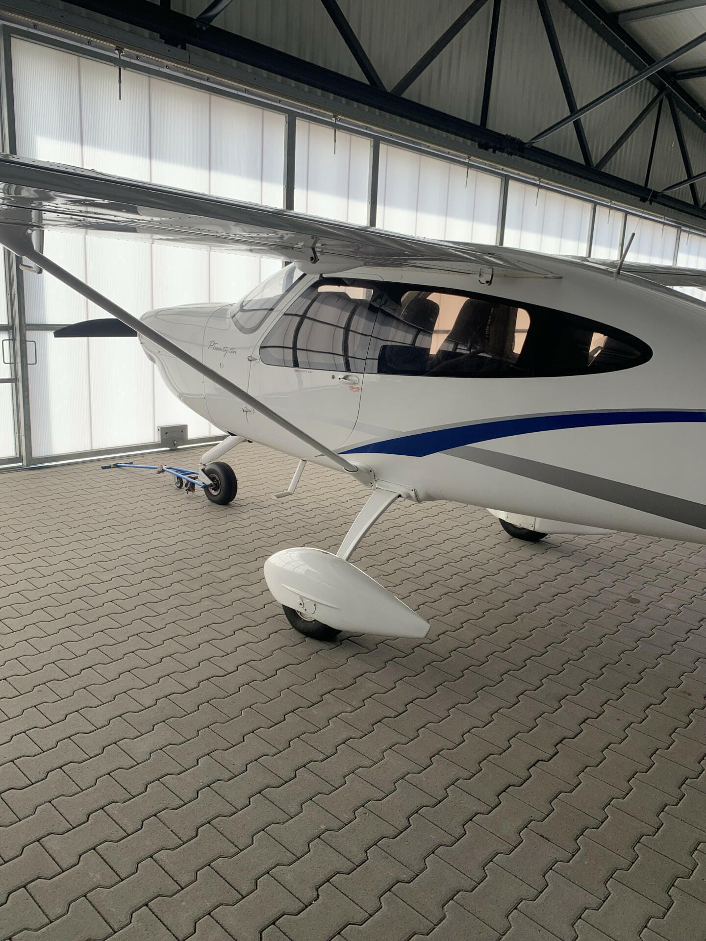 Tecnam P2010