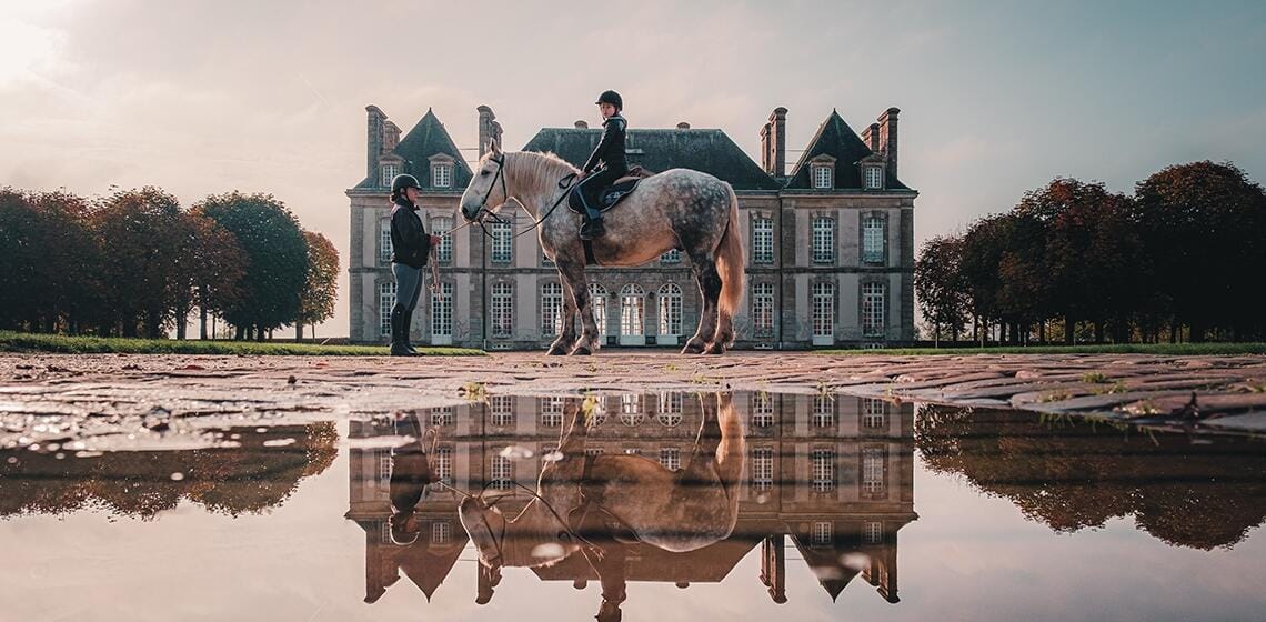 Le haras du Pin et ses haras alentours