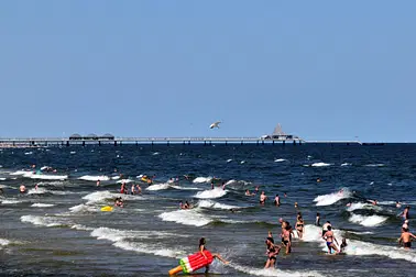 Dresden - Heringsdorf o. andere Orte an der Ostsee - Dresden