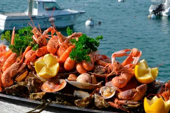 Une journée à La Rochelle